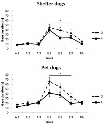 Effect of Intranasal Oxytocin Administration on Human-Directed Social Behaviors in Shelter and Pet Dogs